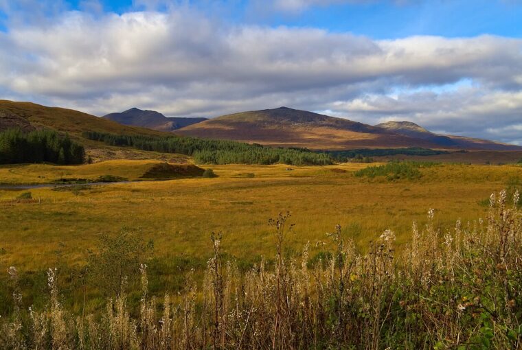 A vast, golden-hued valley in the Scottish Highlands under a partly cloudy sky during the autumn season.