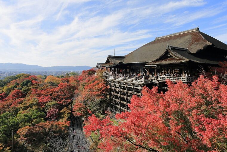 A wide-angle view of the wooden Kiyomizu-dera temple structure surrounded by vibrant red autumn maple trees under a blue sky.