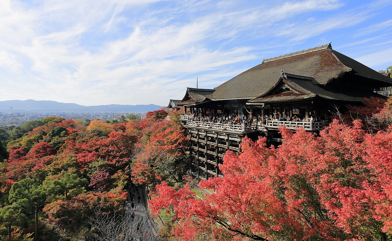 A wide-angle view of the wooden Kiyomizu-dera temple structure surrounded by vibrant red autumn maple trees under a blue sky.