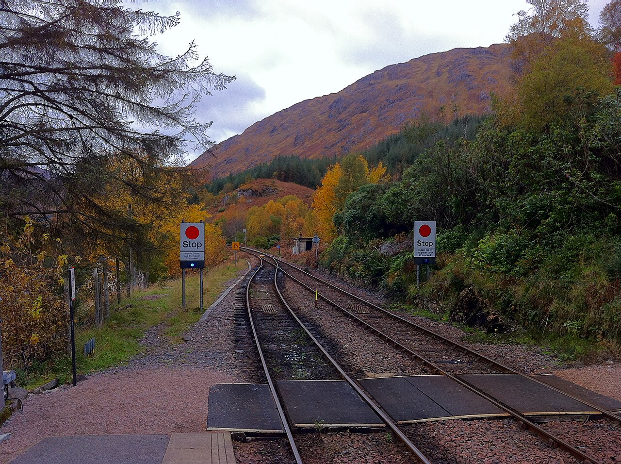 Railway tracks curving through a landscape with autumn foliage and mountains under a cloudy sky