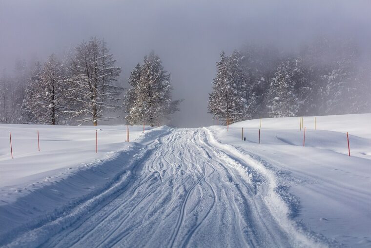 A snow packed road winds through a foggy landscape with evergreen trees and orange markers.