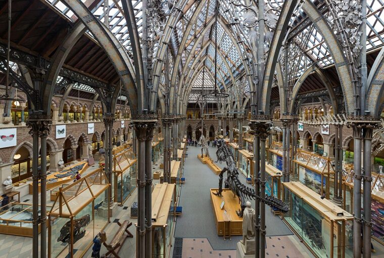 A high-angle interior view of the Oxford University Museum of Natural History with vaulted iron arches and glass ceiling.