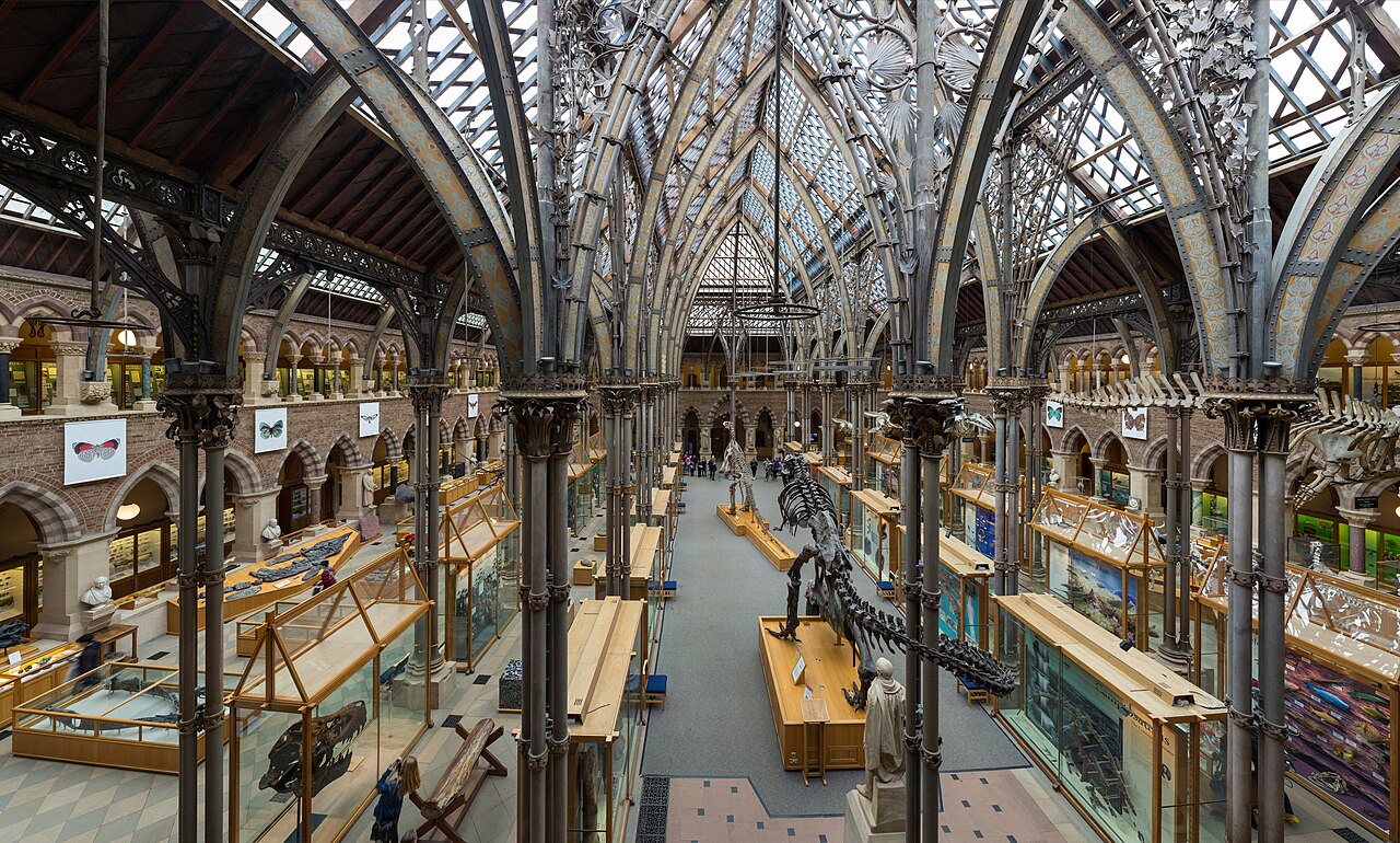 A high-angle interior view of the Oxford University Museum of Natural History with vaulted iron arches and glass ceiling.