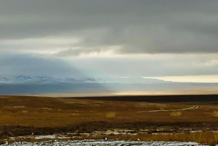 A wide, open landscape showing a transition between autumn fields and distant, snow-capped mountains under a cloudy sky.